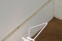 2025-10-house-show-iv-29